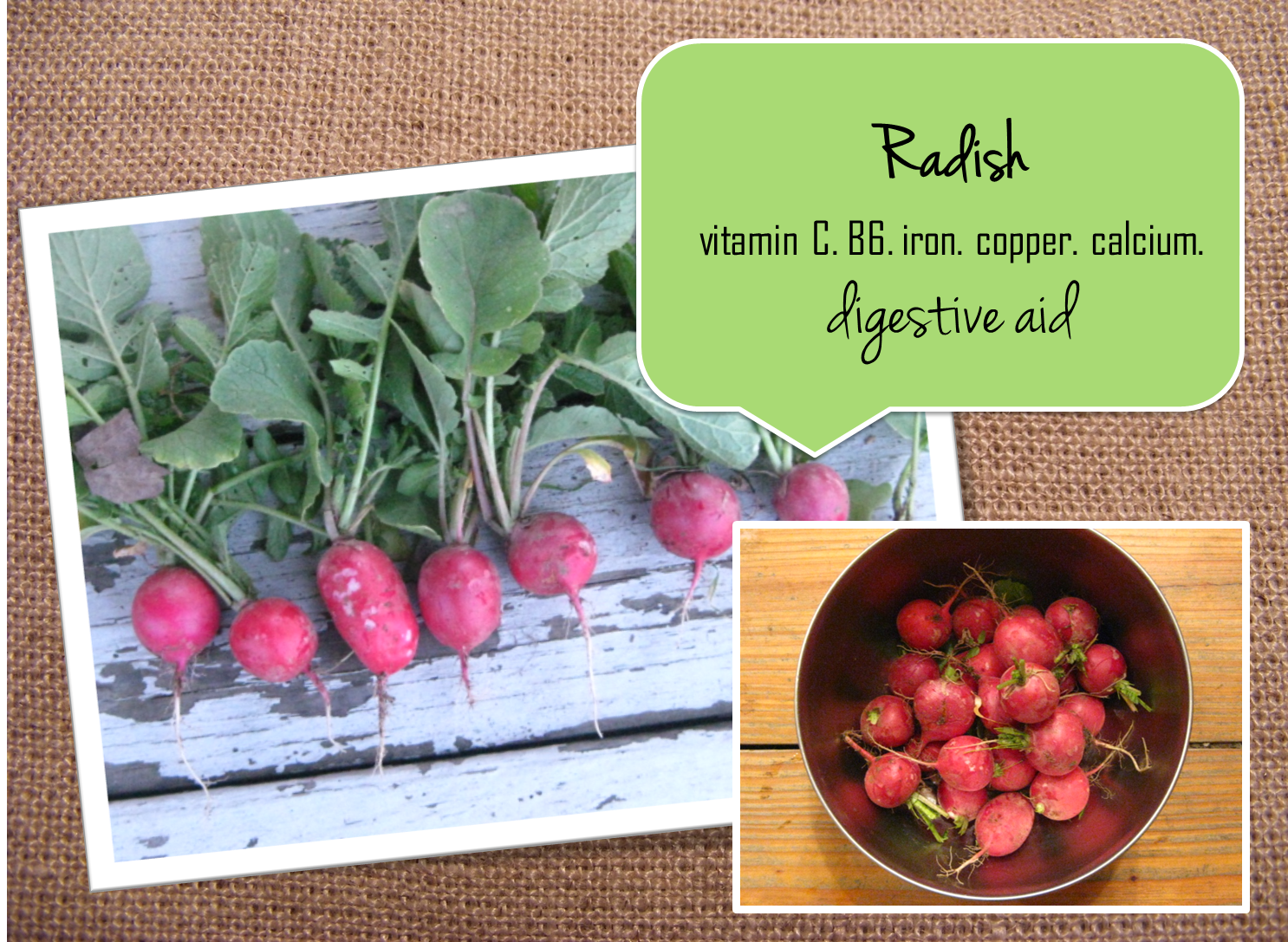 radish