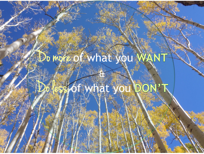 Do more of what you want and do less of what you don't quote