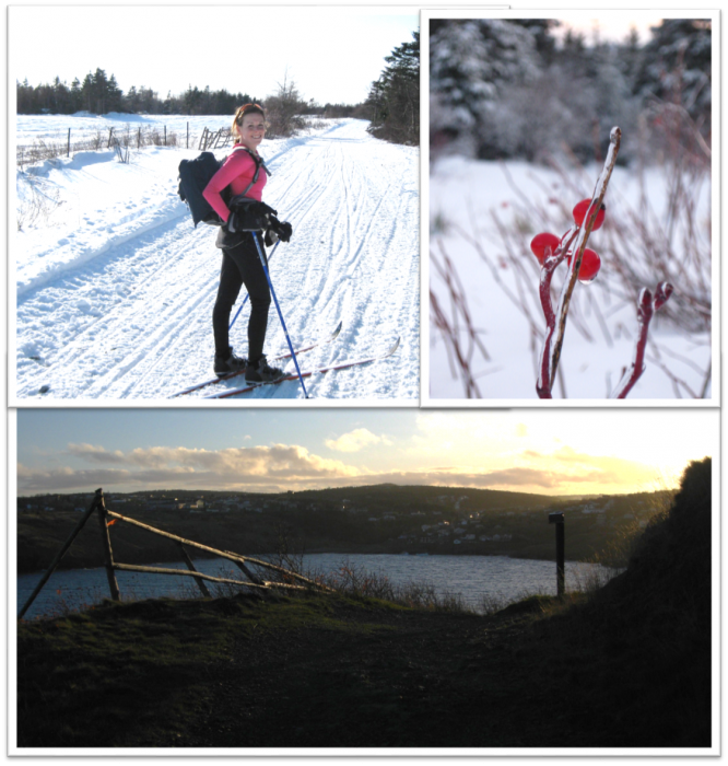 newfoundland skiing