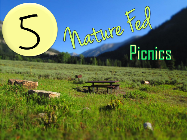NF-picnics