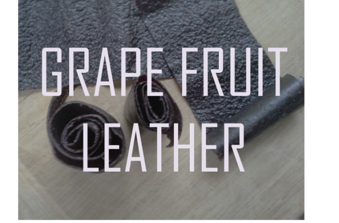 Grape Fruit Leather
