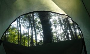 tent